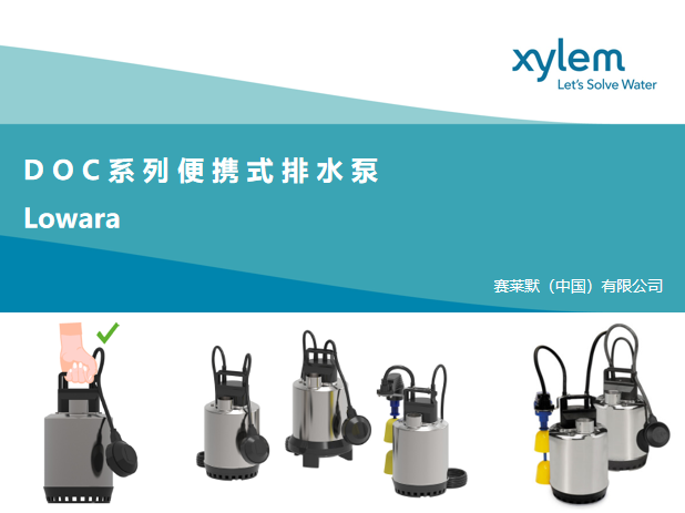 塞莱默便携式排水泵